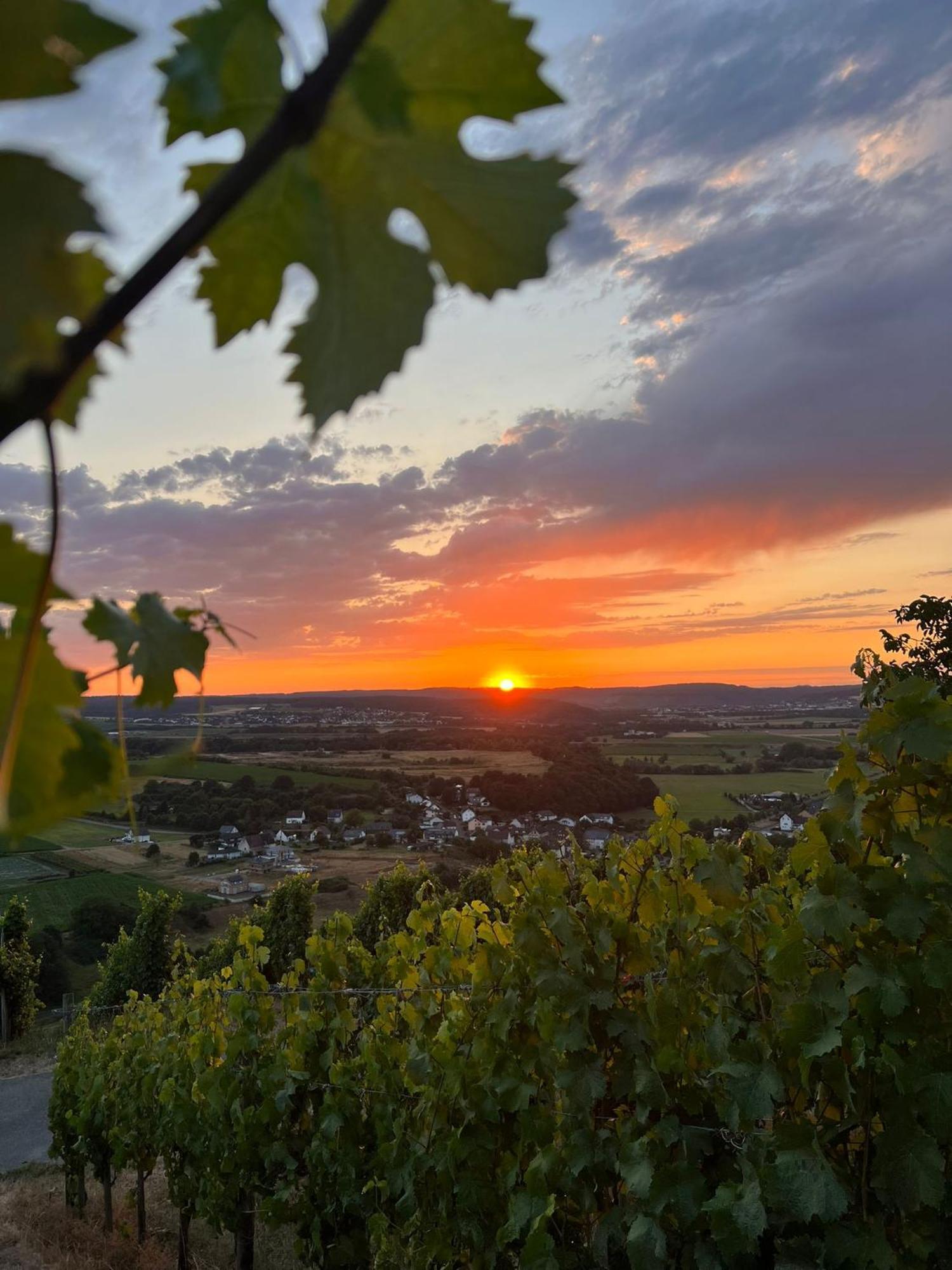 Weingut U. Gaestehaus Becker Platten Exterior foto